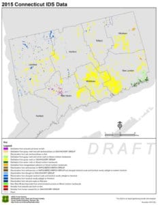 2015 Map Showing Defoliation in Connecticut - map produced by CAES