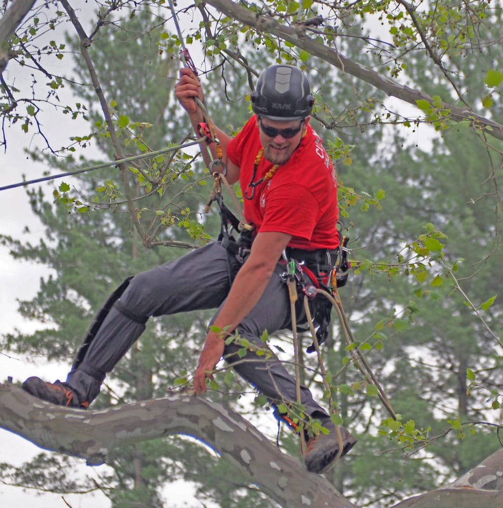 2017 CT Tree Climbing Competition Results CTPA (Connecticut Tree